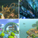 Illustration for article titled Every iMario Kart 8/i iDeluxe /iRace Track, Ranked